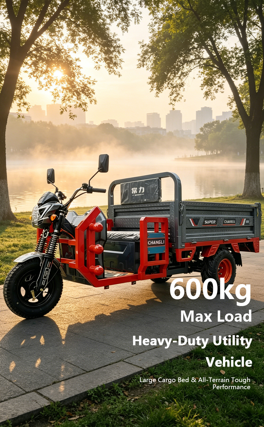 DaMo Heavy-Duty Electric Cargo Tricycle